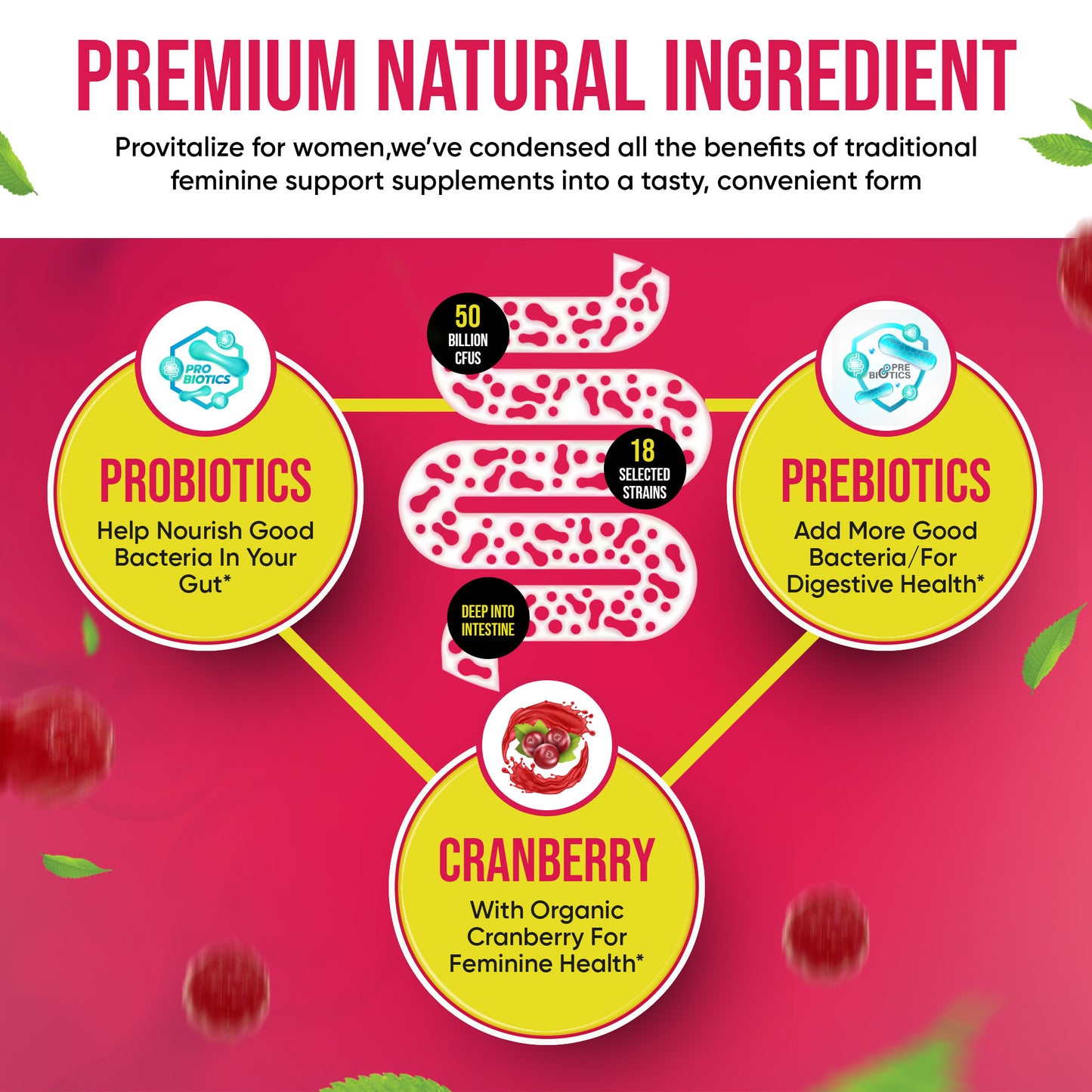 Cranberry Probiotic Gummies
